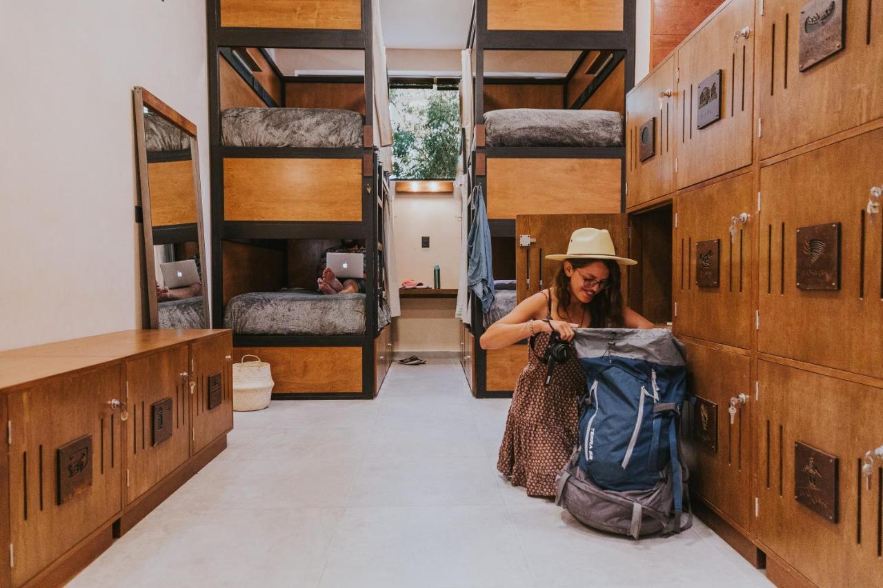 Hostal Barrio Vivo เมริดา ภายนอก รูปภาพ